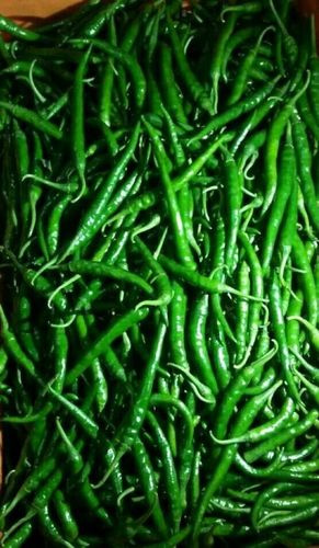 Green Chillies