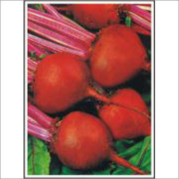Lalita - Beet Root (Hybrid) Seeds