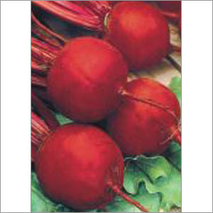 DDR (Imported) - Beet Root (Open Pollinated) Seeds