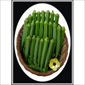 Ds-92- Bhindi (Okra) (Hybrid)