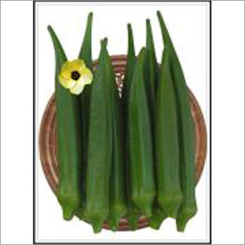 Lilly - Lady Finger Okra) (Hybrid)