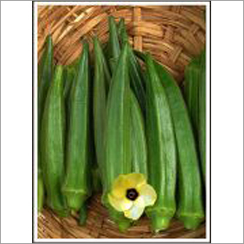 Panchwati - Bhindi (Okra) (Open Pollinated)