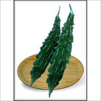 Vajra - Bittergourd (Hybrid) Seeds