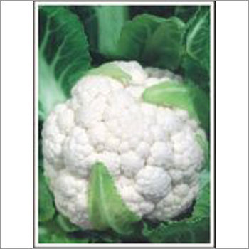 Aghani - Cauliflower (Open Pollinated)  Seeds