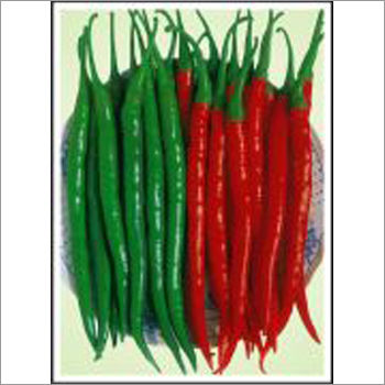 Chilli (Hybrid) Seeds