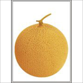 Golden Ball - Muskmelon (Hybrid) Seeds