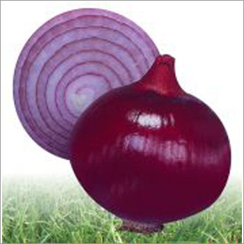 Onion Seeds