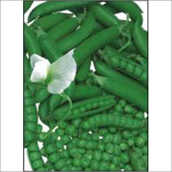 Angoori - Peas (Open Pollinated) Seeds