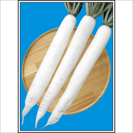 All Season - Radish (Open Pollinated) Seeds