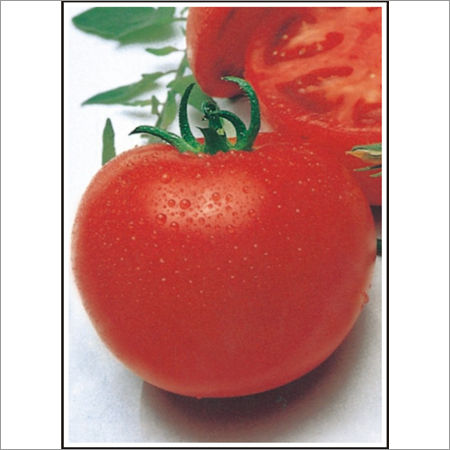 Tomato (Open Pollinated)  Seeds