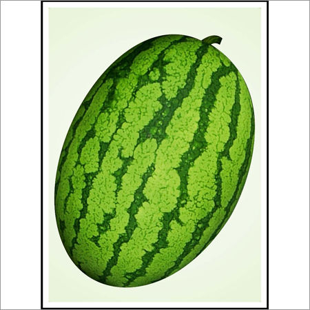 Watermelon (Hybrid)  Seeds
