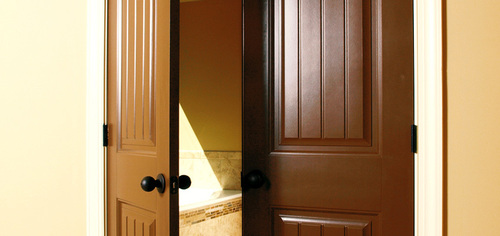 Flush Doors
