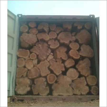 Brazil Teak Wood