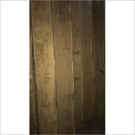 Long Lasting Mp Teak