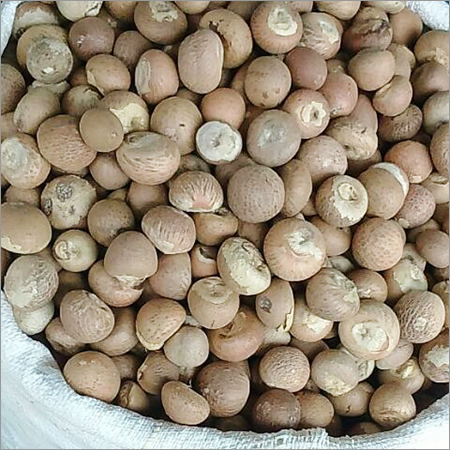 Betel Nut