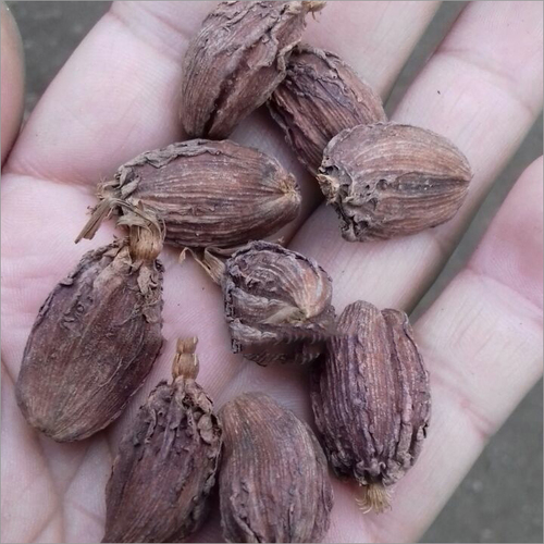 Black Cardamom