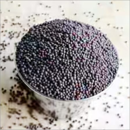 Mustard Seed