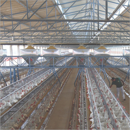 Poultry Equipment