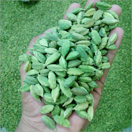 Fresh Cardamom