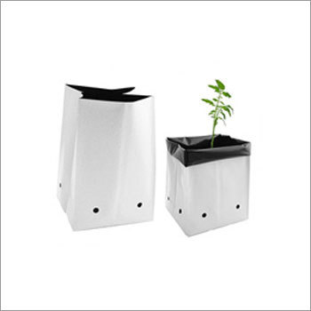 Coco Peat Grow Bag