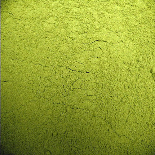 Moringa Powder - Dried Leaf, Non Glutinous, Green Color, A Grade, Well Matured | Sunlight-Dried, Sour Taste, Open Air Cultivation