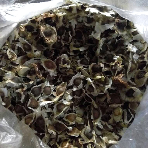 Moringa Seeds