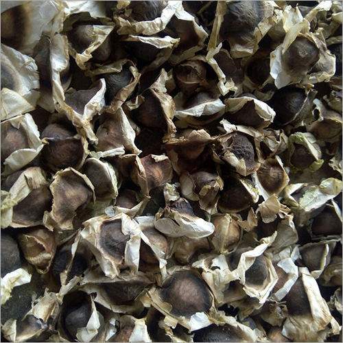 Moringa Seeds