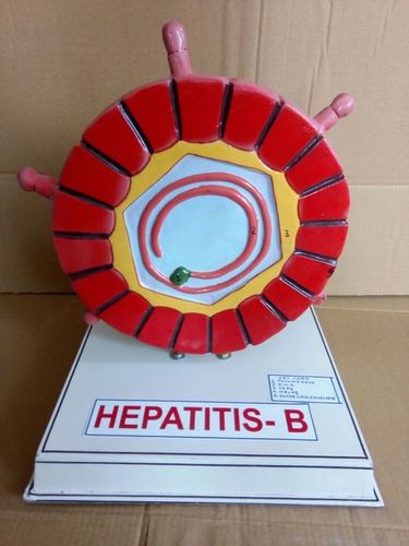 Hepatitis-B