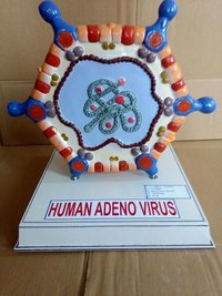 HUMAN ADENO VIRUS