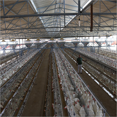 Feed Trolley System