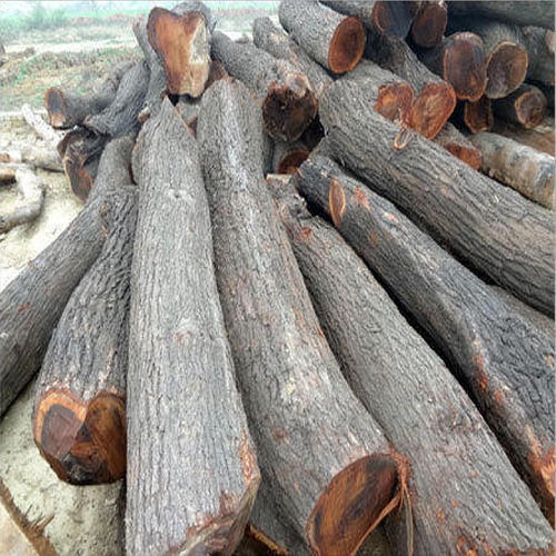 Babool Wood