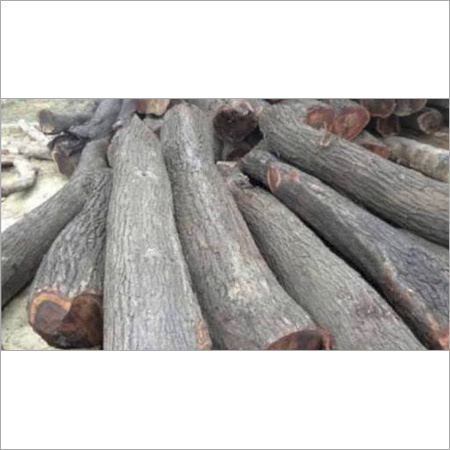 Babool Wood