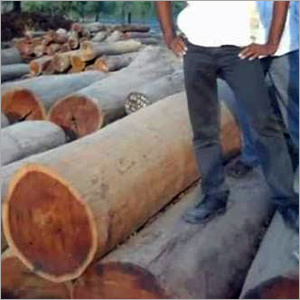 Sheesham Wood Logs