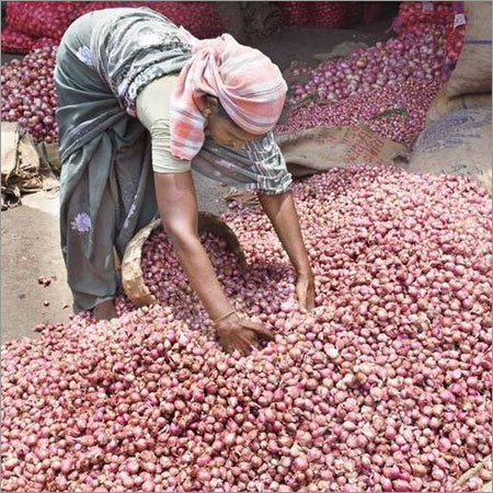 Small Onion