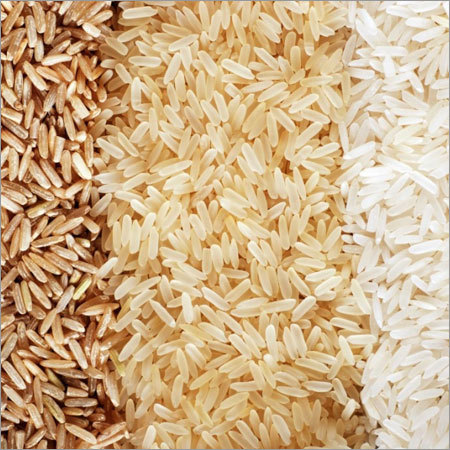 Rice XL