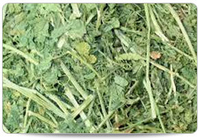 Green Alfalfa Hay