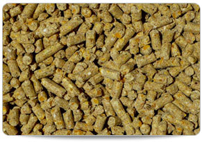 Finisher Broiler Feed - Organic Granule Supplement, Promotes Growth with Vitamins for Healthy Chicken and Poultry