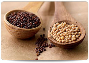 Mustard Seed Purity: 100%