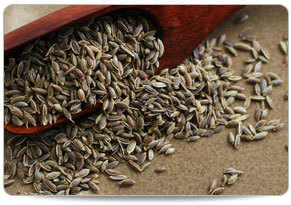 Green And Brown Dill Seeds