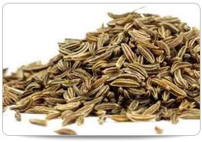 Cumin Seeds - 99.95% Purity, 7-8% Moisture, Brown Color | Edible Spice with Antioxidant Benefits