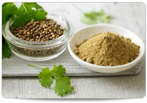 Coriander - Raw Whole Spice, Round Shape, Brown Color | Freshness Guaranteed for 3-12 Days