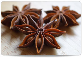 Brown Anise Star