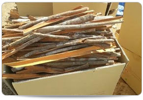 Brown Split Cassia