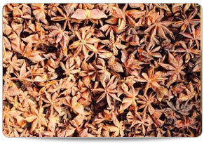 Brown Star Anise