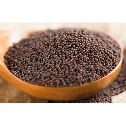 Mustard seed