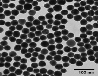 Powder Bioconjugation