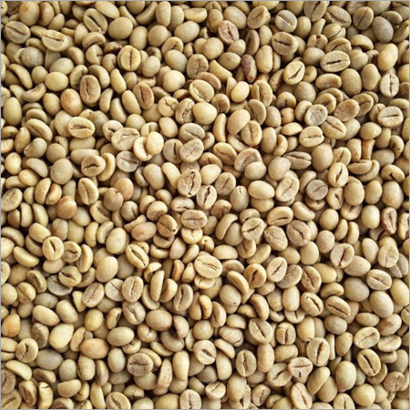 Organic Robusta Coffee Beans