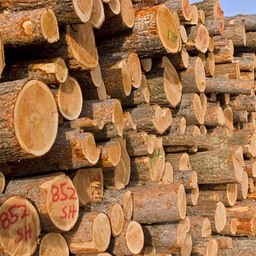 Pine Wood Logs Density: 990 Kilogram Per Cubic Meter (Kg/M3)