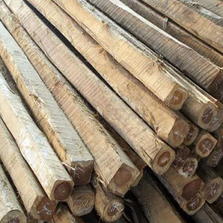Meranti Wood Log
