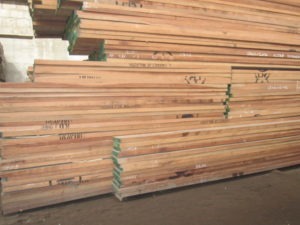 Red Normal Meranti